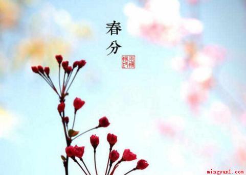 春分的习俗有春祭、立春蛋、送春牛、吃春菜和放风筝