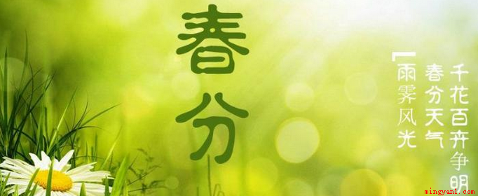春分的习俗有春祭、立春蛋、送春牛、吃春菜和放风筝