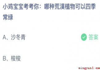 哪种荒漠植物可以四季常绿 蚂蚁庄园4月22日答案介绍 哪种荒漠植物可以四季常绿