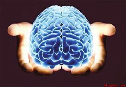 人脑中控制人平衡力的是什么（小脑人脑中控制人平衡力的是小脑）