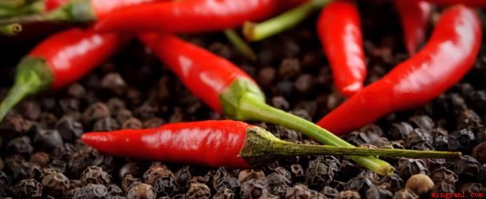 辣椒原产地是墨西哥,首先种植辣椒的是印第安人,16世纪引种欧
