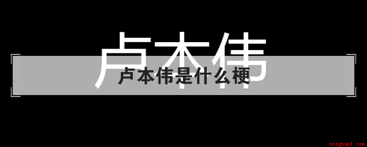 卢本伟是一个电竞选手,退役后做了主播,直播时喜欢说脏话和骚话
