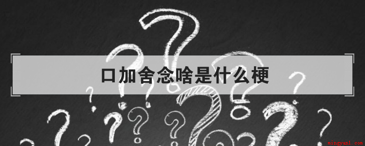 口加舍念啥是什么梗是什么梗（抖音中一向是火梗的聚集地,老师不认识,自己查字典）