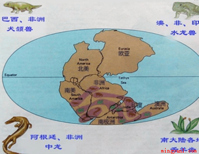 大陆漂移学说谁提出来的(魏格纳大陆漂移学说是阿尔弗雷德)