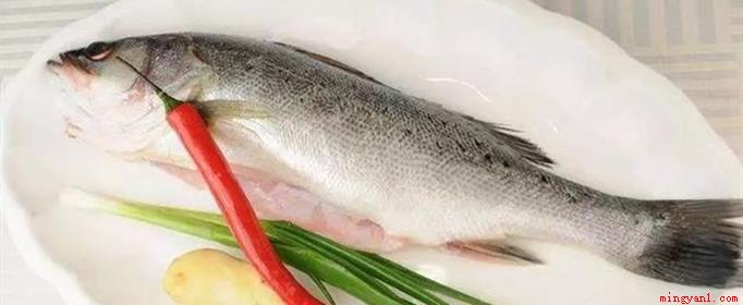 鲈鱼是淡水鱼还是海鱼（养殖鲈鱼时要为其搭设好相关的投喂饲料台）
