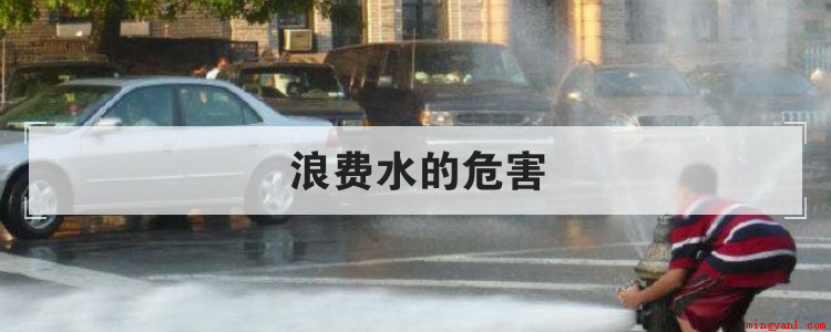 浪费水的危害(浪费水的危害有哪些)