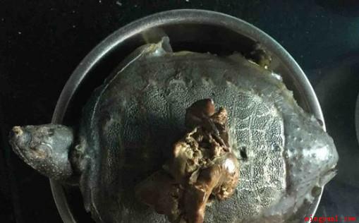 王八汤怎么做(王八汤的做法)