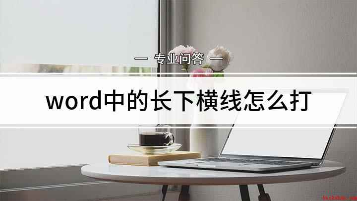 word中的长下横线怎么打(如何直接在文档中插入长横线)