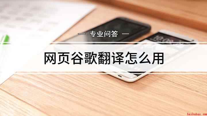 网页谷歌翻译怎么用