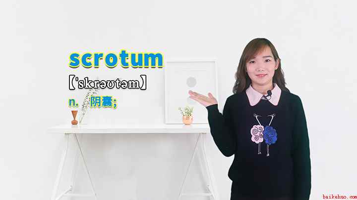 scrotum的讲解（scrotum阴囊这个单词你学会了吗）