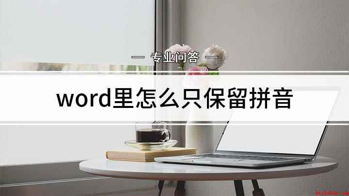 word里怎么只保留拼音