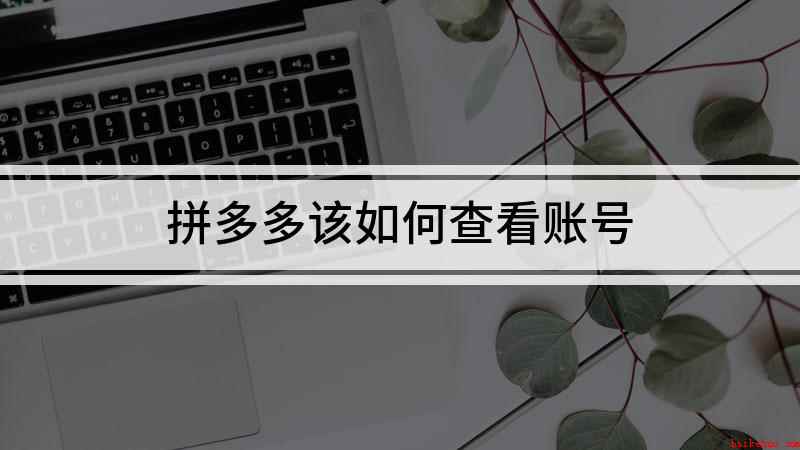 拼多多该如何查看账号(本演示机型:iPhone 12,适用系统:iOS 14.)