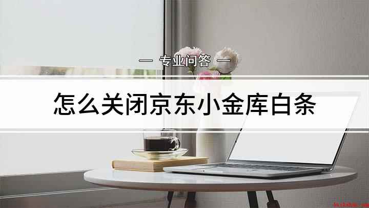 怎么关闭京东小金库白条