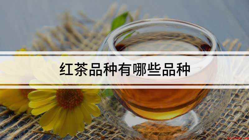 红茶品种有哪些品种(红茶主要有四大类,祁门红茶、锡兰高地红茶和阿萨姆红茶)