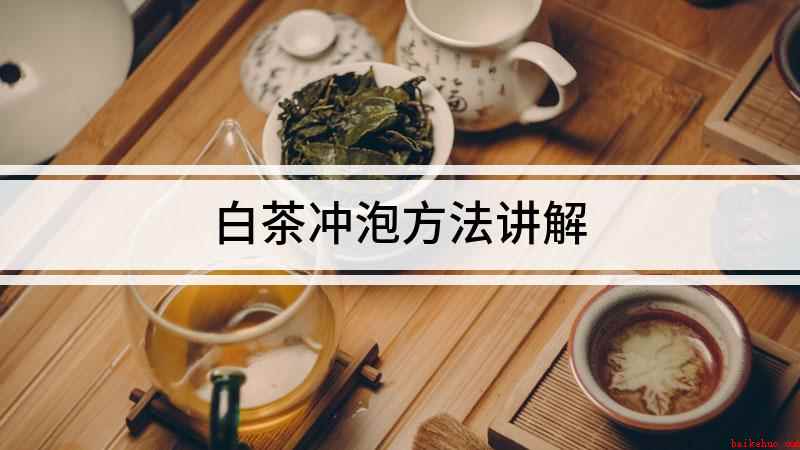 白茶冲泡方法讲解(一杯白茶可以冲泡四五次)