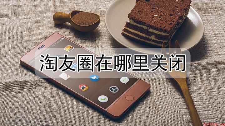 淘友圈在哪里关闭
