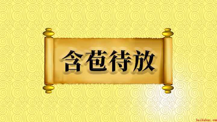 含苞待放怎么理解