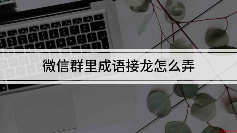 微信群里成语接龙怎么弄(微信接龙怎么操作)