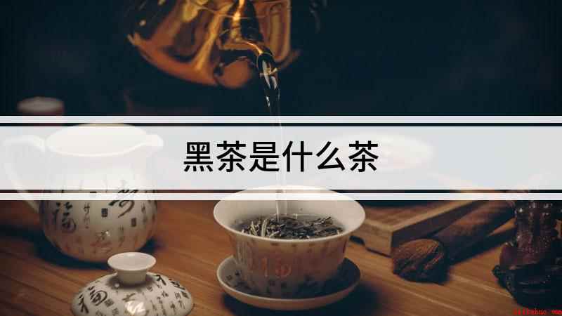 黑茶是什么茶