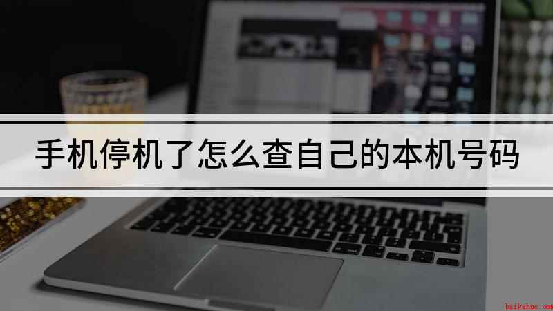 手机停机了怎么查自己的本机号码(手机停机后查本机号码的方法你学会了吗)