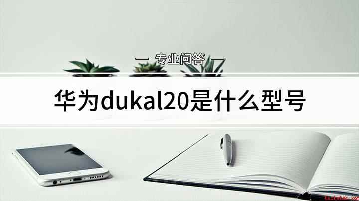 华为dukal20是什么型号（dukal20是什么型号的手机）