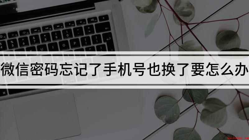 微信密码忘记了手机号也换了要怎么办(微信密码忘记了怎么解决)