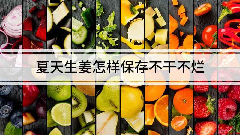 夏天生姜怎样保存不干不烂(夏天生姜怎么保存不干不烂)