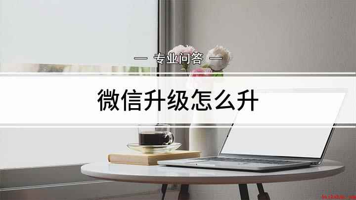 微信升级怎么升(微信最新版怎么升级)