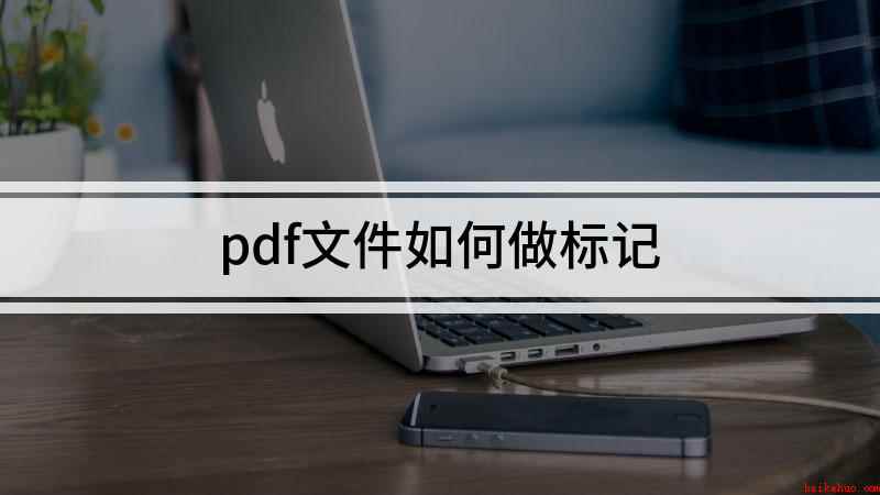 pdf文件如何做标记(如何在PDF上做标记)