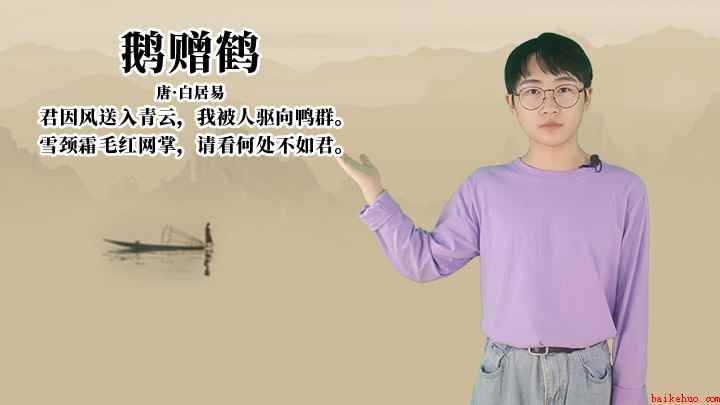 白居易《鹅赠鹤》讲解(雪颈霜毛红网掌,请看何处不如君)