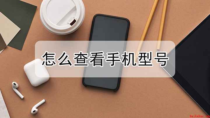 手机型号如何查看（iPhone12演示机）