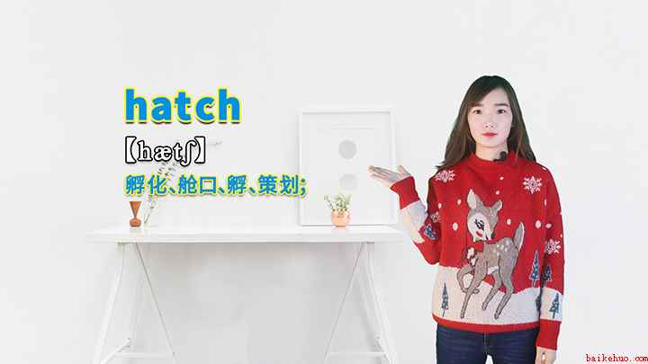 hatch的讲解(hatch这个单词你学会了吗)