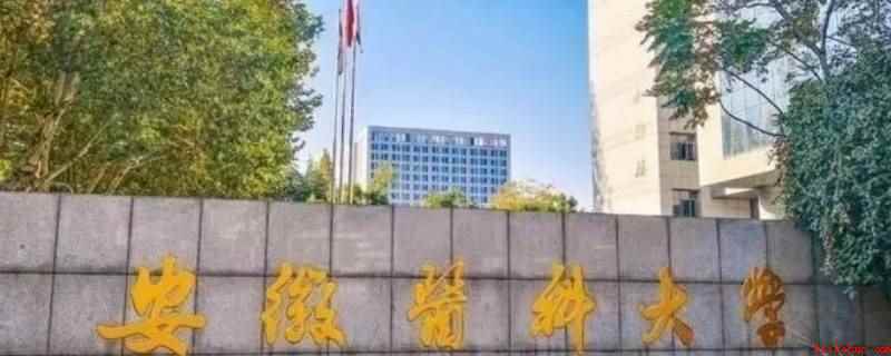 安医大有本硕博连读吗(安医大指的是安徽医科大学,位于安徽省人民政府共建高校)