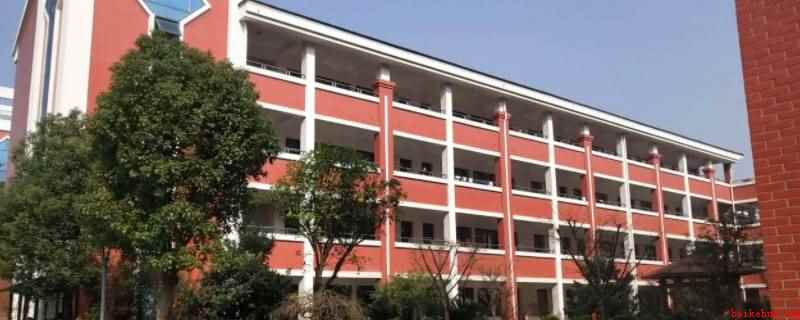 濮院毛衫城小学招生条件(桐乡市房产证办理日期须在6月10日之前的一证新生)