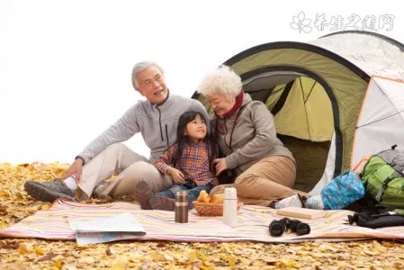 泥蒿叶子能吃吗泥蒿叶子好吃吗(泥蒿叶子能吃吗 只是叶子口感比茎差多了)