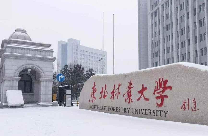 东北林业大学是985还是211