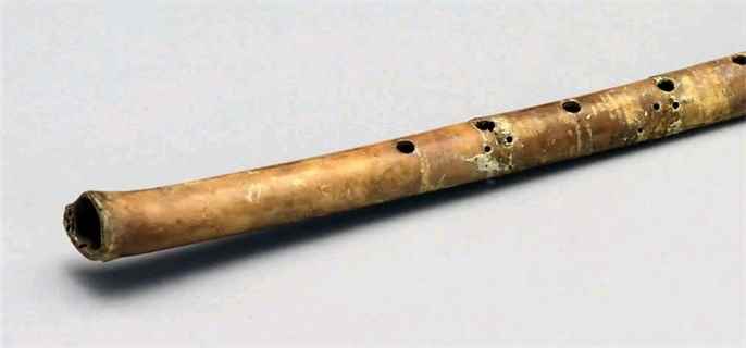 迄今为止,中国最古老的乐器是(骨笛管身多用鹫鹰的翅膀骨制作)