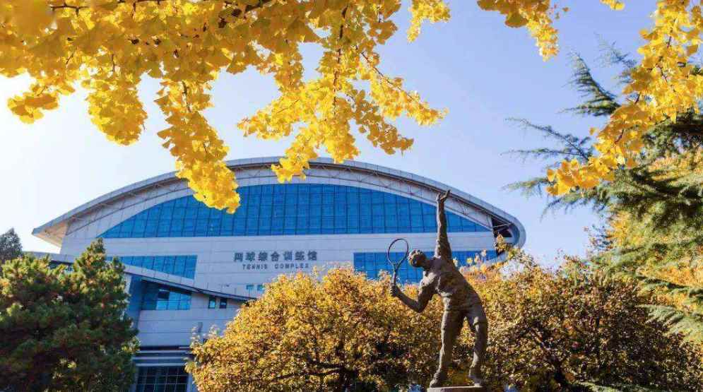 北京体育大学是985还是211(北京体育大学2019年招生简章)