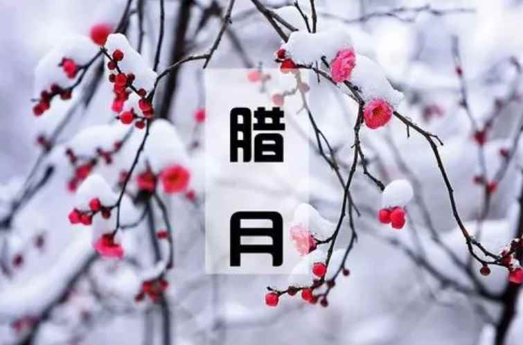 腊月是12月吗(农历十二月为何又叫“腊月)