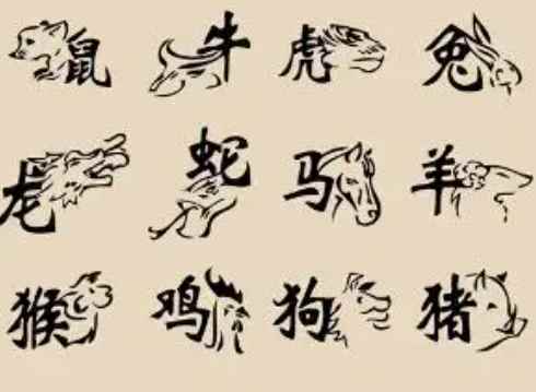 家肖是哪几个生肖(老实真诚,没有坏心眼,在人际关系中有着不错的人缘)