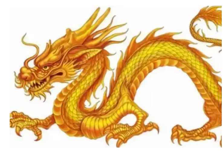 2000年出生的今年(2022年)几岁(2000年出生属龙的今年多大)