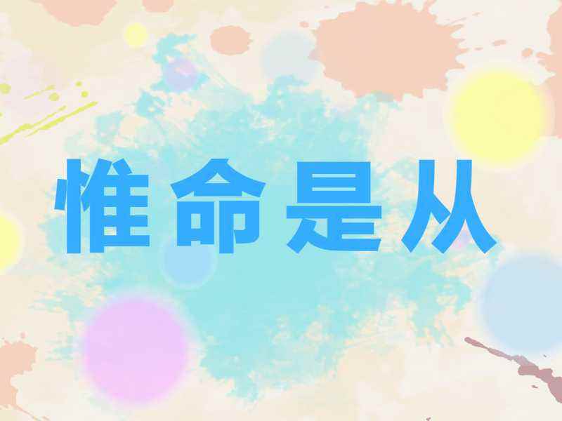 唯命是从是什么意思(唯命是从是什么意思啊)