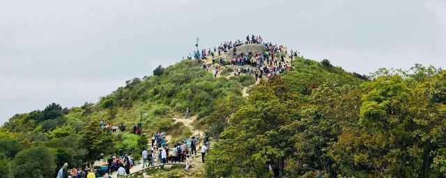 梧桐山海拔多少米