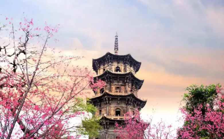 泉州市有几个区(泉州的4个区,分别是鲤城区、丰泽区、泉港区、洛江区。)