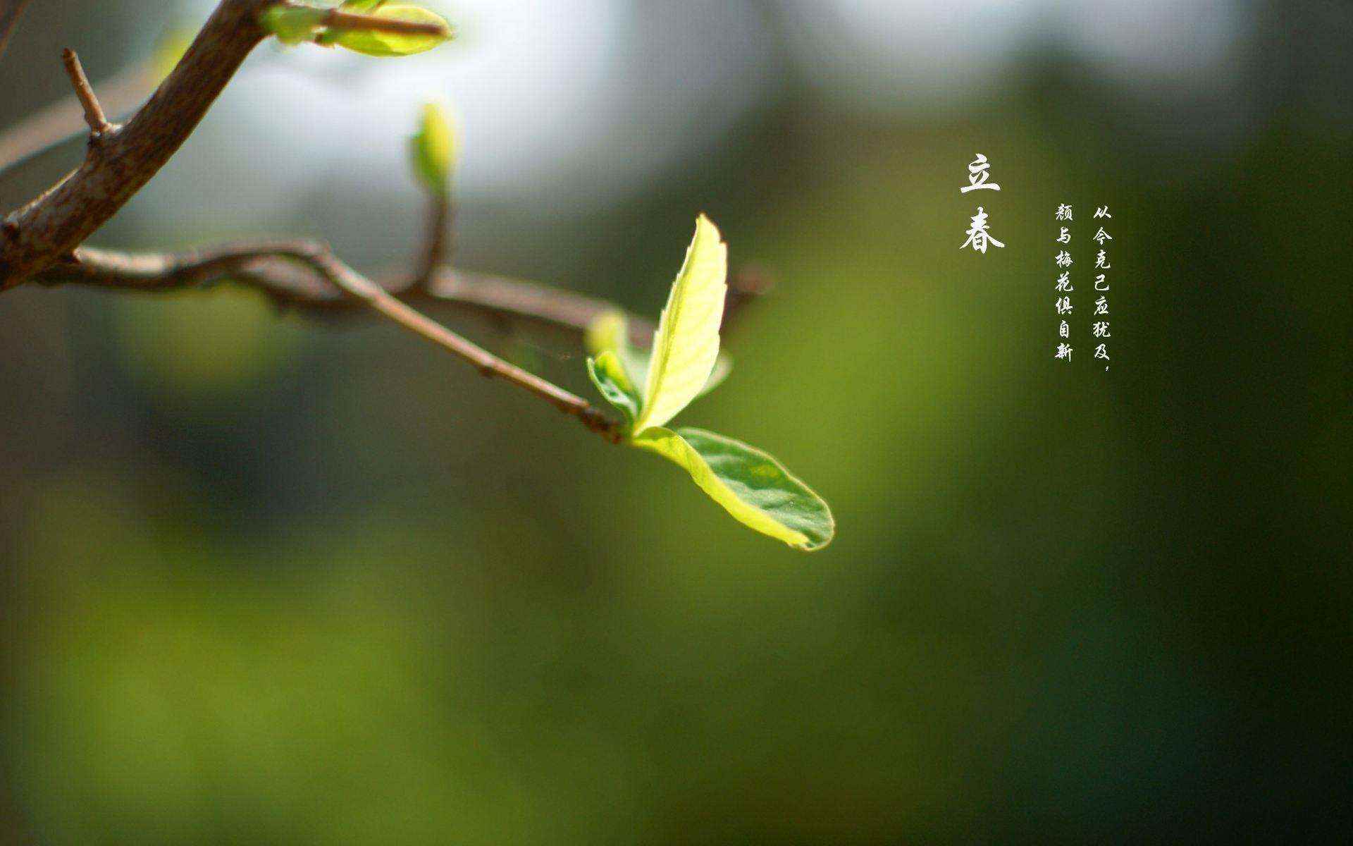 春打六九头是立春在六九的第一天的意思