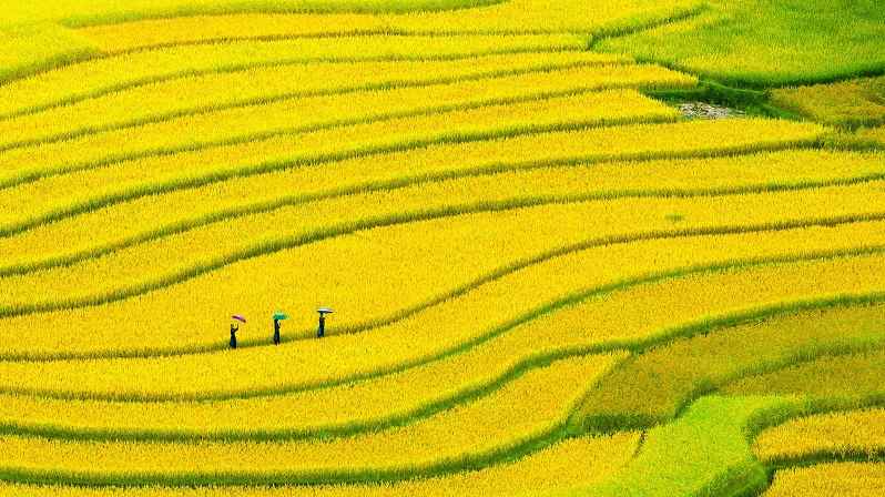 1吨多少公斤(千克(符号kg)是国际单位制中度量质量的基本单位)