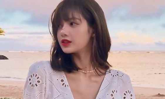 Lisa多高