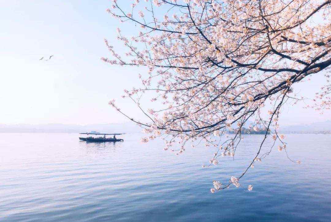 话不投机半句多的下一句是什么