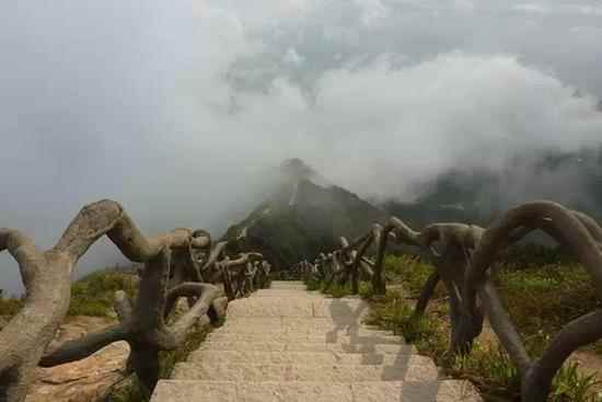 深圳梧桐山有多高(梧桐山风景名胜区位于东经113°17)