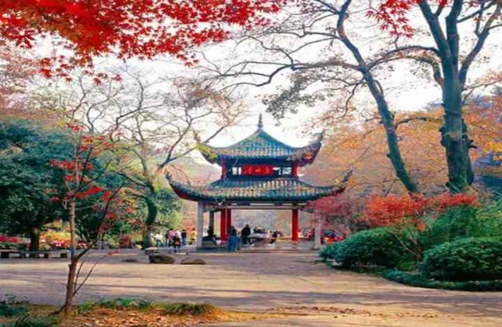 岳麓山多高